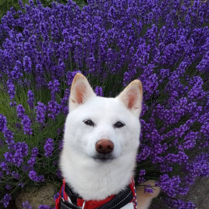 B1d38f76 c431 43f5 80d2 88326f117ade 1718012586770