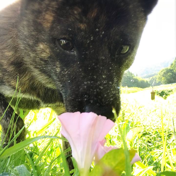 B1d3d3ed ba88 4ec0 a0c6 217092f3f1ee 1534549902484