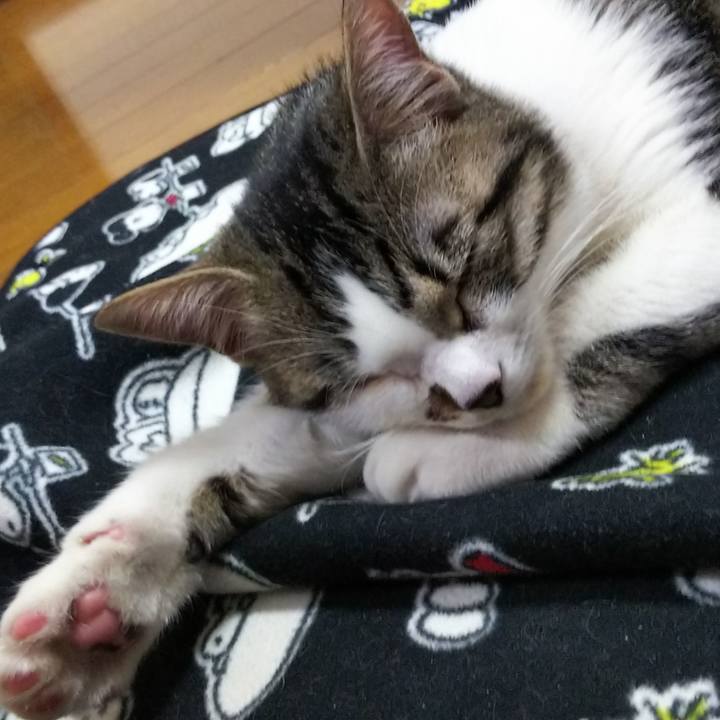 B1d421f8 1976 4465 a605 03858c139d95 1613128869513