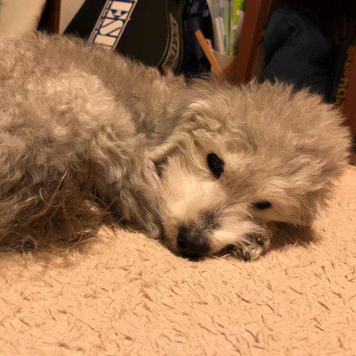 B1d43451 933e 464a aa98 9f7dc3f130ce 1619348427530