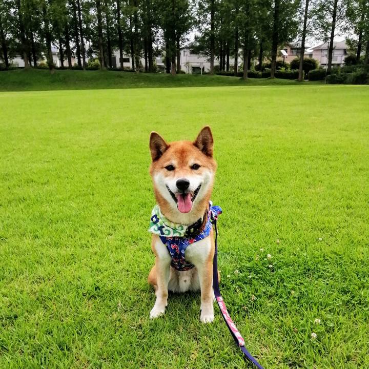 B1d481f7 bd55 408a 9364 22b22b7997b1 1596603844549