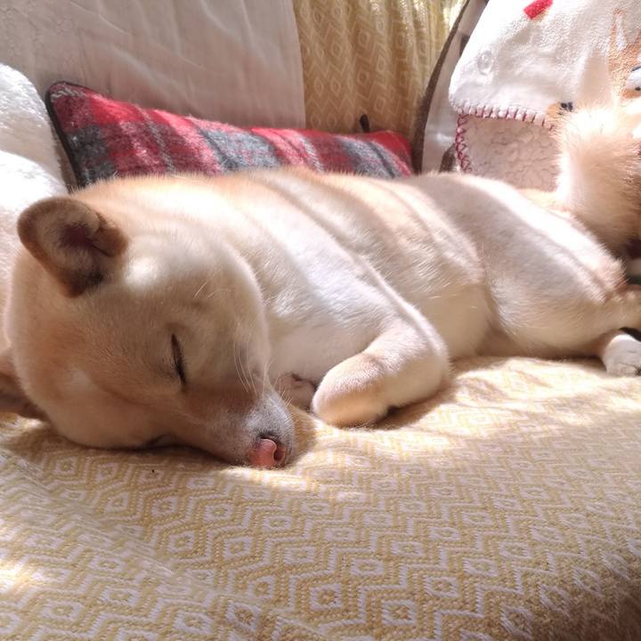 B1d4c6d2 e50c 495c 85e3 60f1bd228ae1 1555636150412