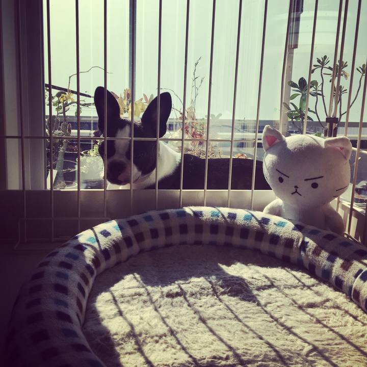 B1d4cc8d d554 49de a1aa dcd0e2e5610c 1510019391574