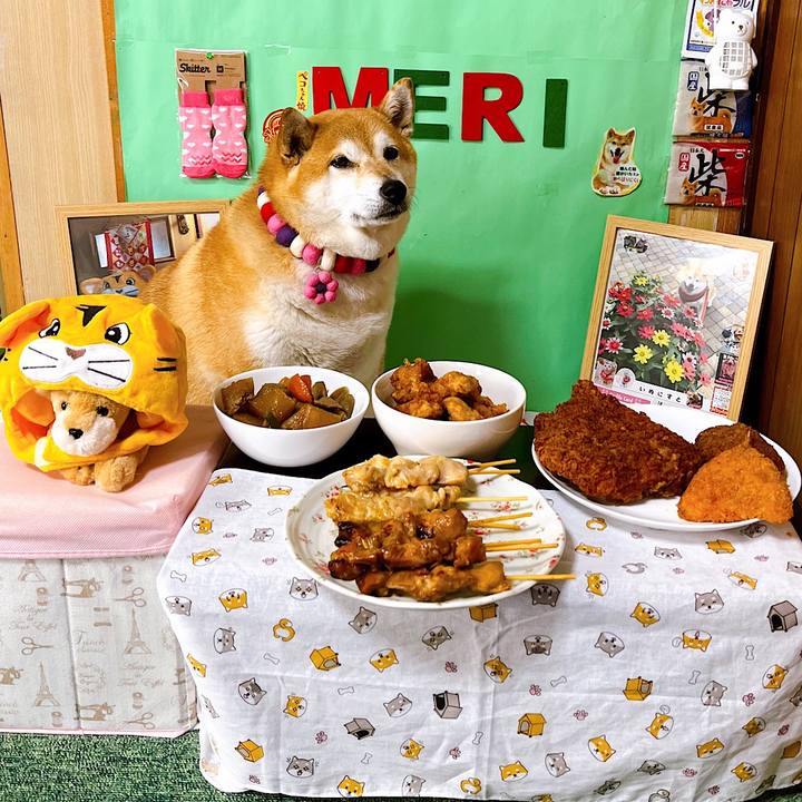 B1d4e13c b70f 480c 98c2 0c88c971a79c 1655276110955