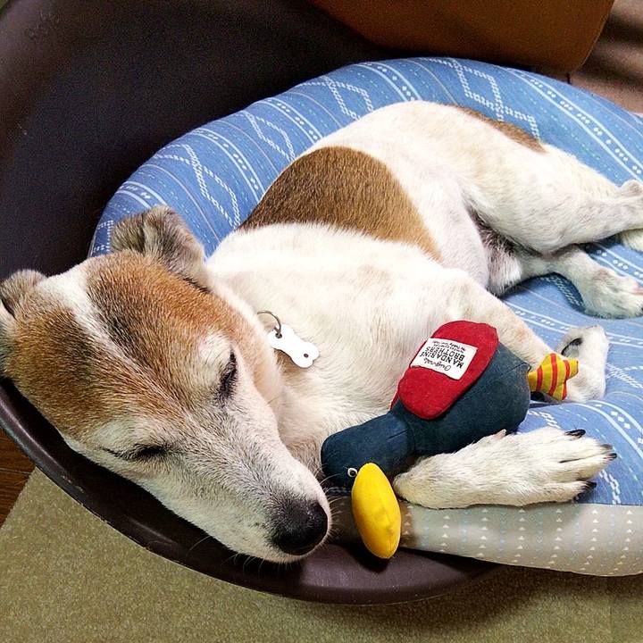 B1d5042f c438 41d0 9d38 28864889b021 1595336592566