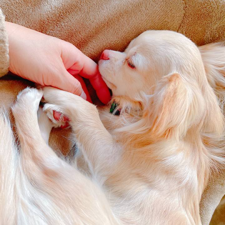 B1d52883 29c8 48ad a7d3 b4bb389ff282 1644442294077