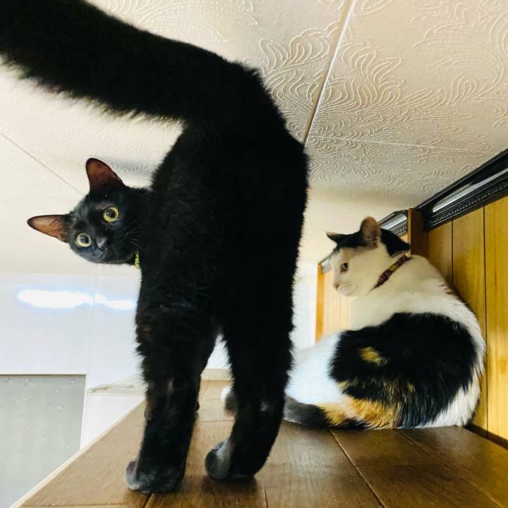 B1d54a32 f007 4fbc ad24 20476350dcb2 1661777534294