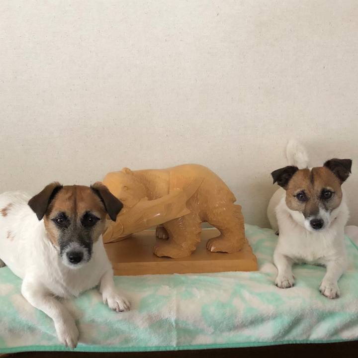 B1d57811 5993 4510 aa14 2955db30f3e8 1580010344417