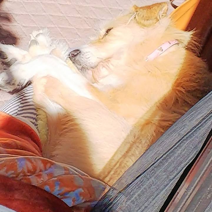 B1d5b652 89b4 4f10 aff3 3d3adbce5d59 1519089253161