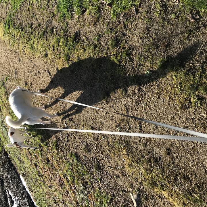 B1d5ccf0 f1ff 49b3 b058 1fc468ae1c67 1520728906768