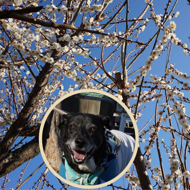 B1d6031a c42d 45cc 91c3 fce22ad1717b 1771030095556