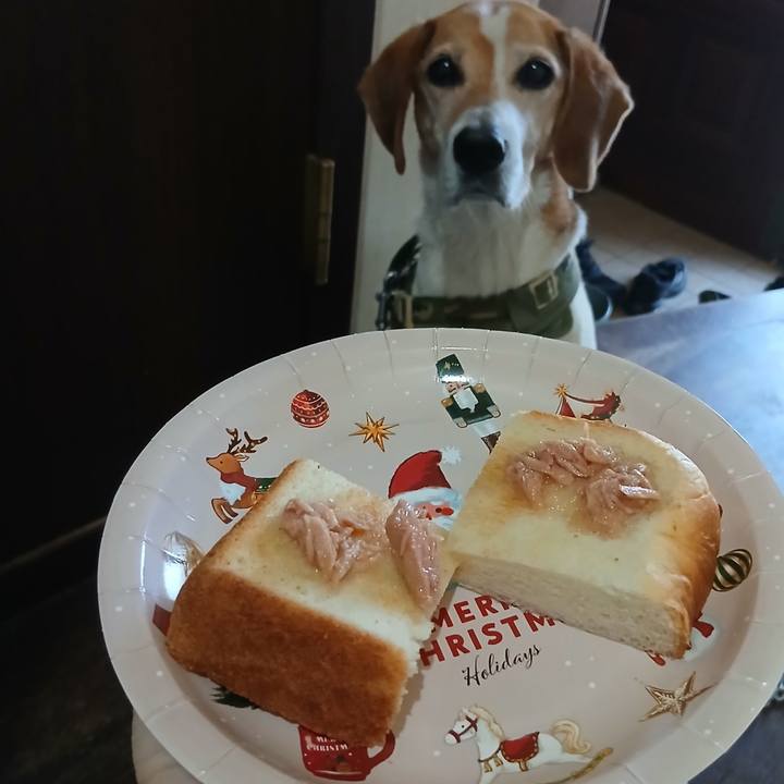 B1d6181c 04d0 4571 92a8 b3e4cca78d52 1752636495517