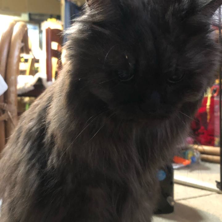 B1d618cc baea 46b3 af28 552e4cacf4eb 1545170715538