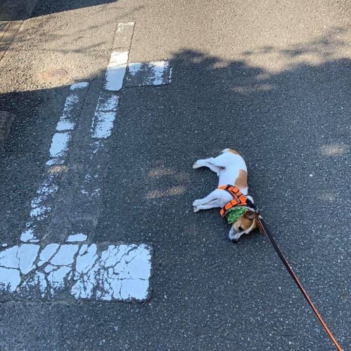 B1d62697 7c92 40a5 a28b 7195806e6803 1660000764205