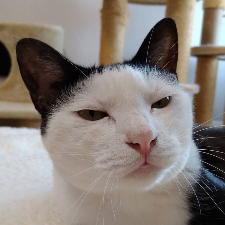 B1d652b7 d503 4704 ab6f 952b48e44390 1596256243065