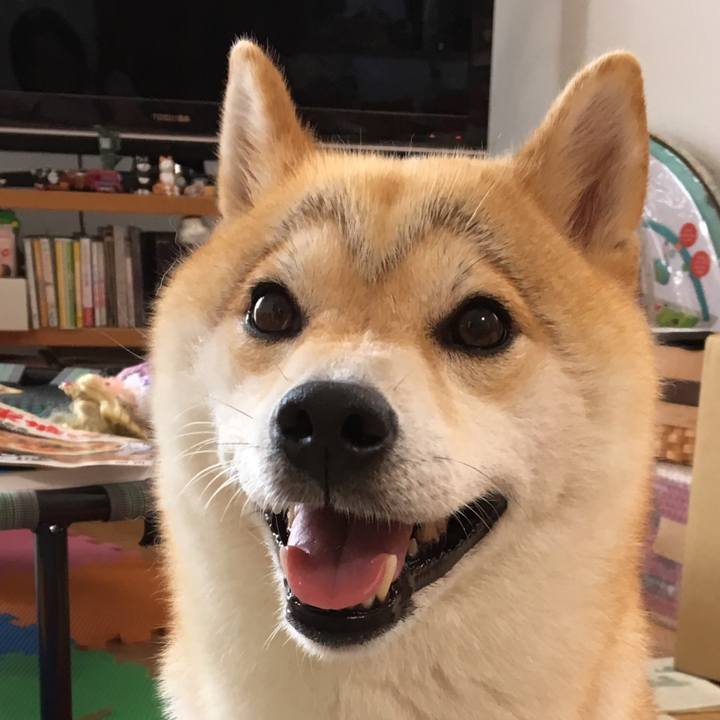 B1d65c45 f104 4dcd ad29 058921110859 1540174782645