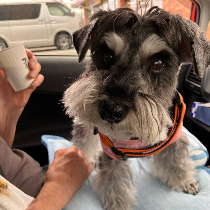 B1d661e4 102c 49ee b2c2 ad6eae9a66ad 1729903211336