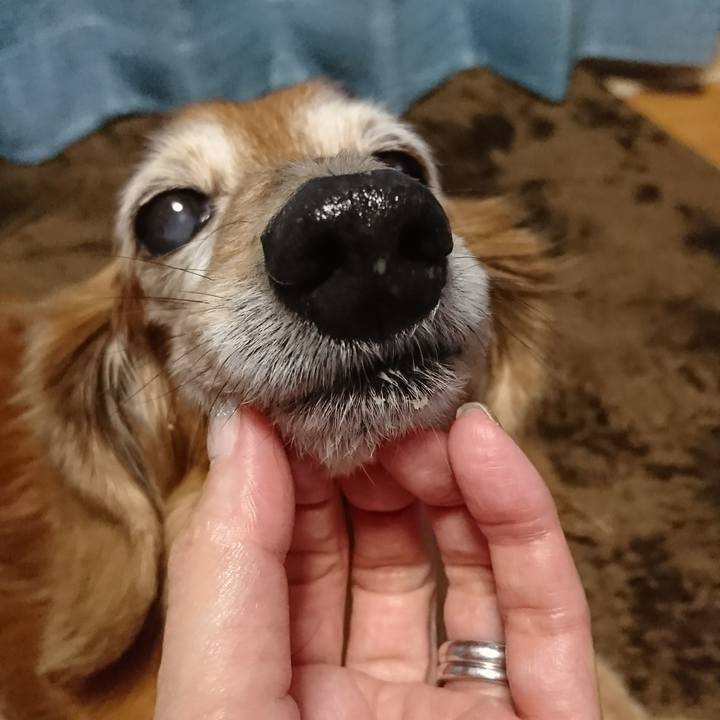 B1d6ae0e 661e 4c8e 807b 48257b1c0261 1515712419661