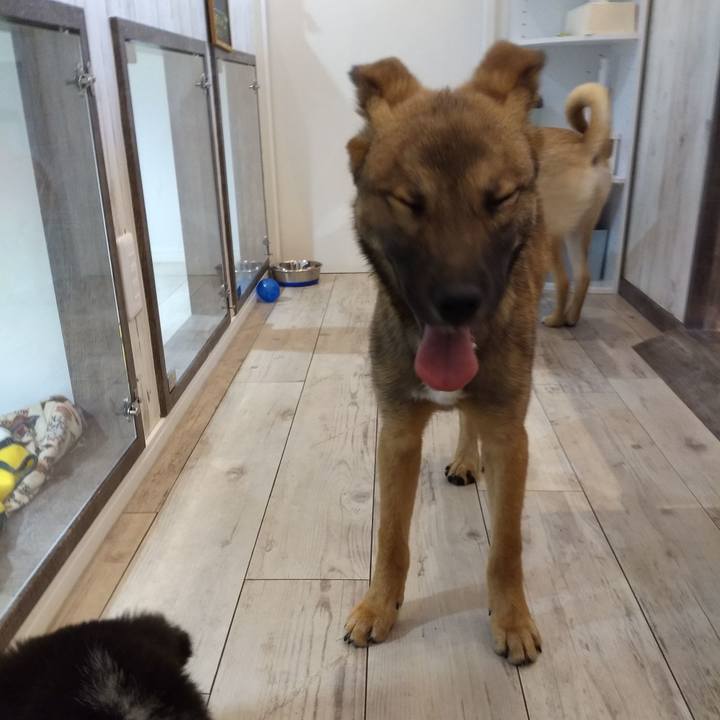 B1d6c5a6 39ea 4a09 a148 b4529c007c62 1584882051687