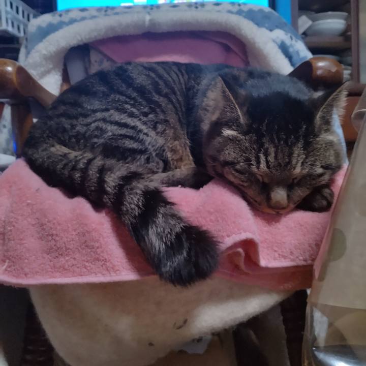 B1d6d24a ccb2 40e7 91ea f6e1444e12f8 1675725425822