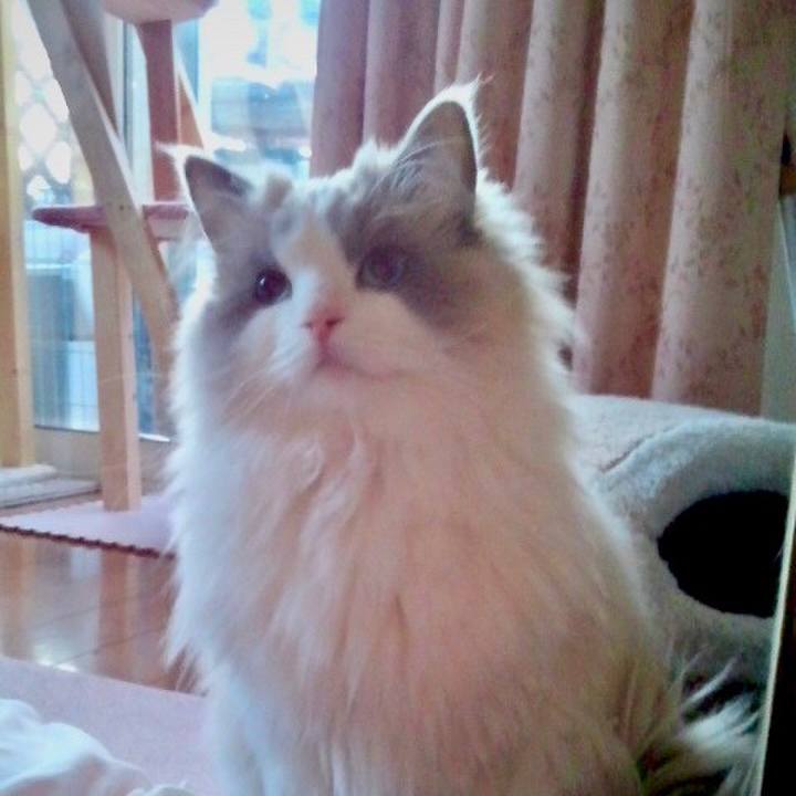 B1d72dea 2c63 4107 8574 95b8a6d5be6d 1579625756435