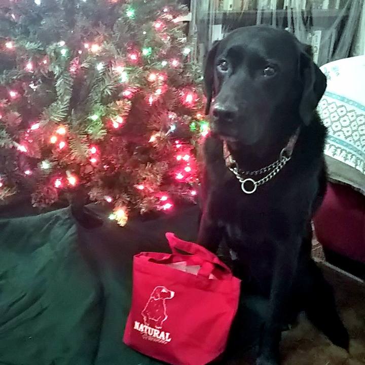 B1d77508 9af3 40ca 86d6 9660dfbede88 1691807738906