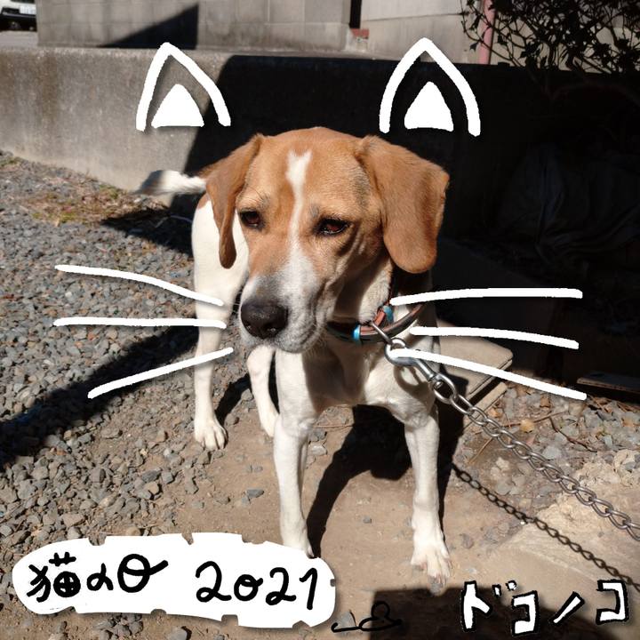 B1d7dca0 7c00 4b1b 8d04 0979581c98c0 1613969430219