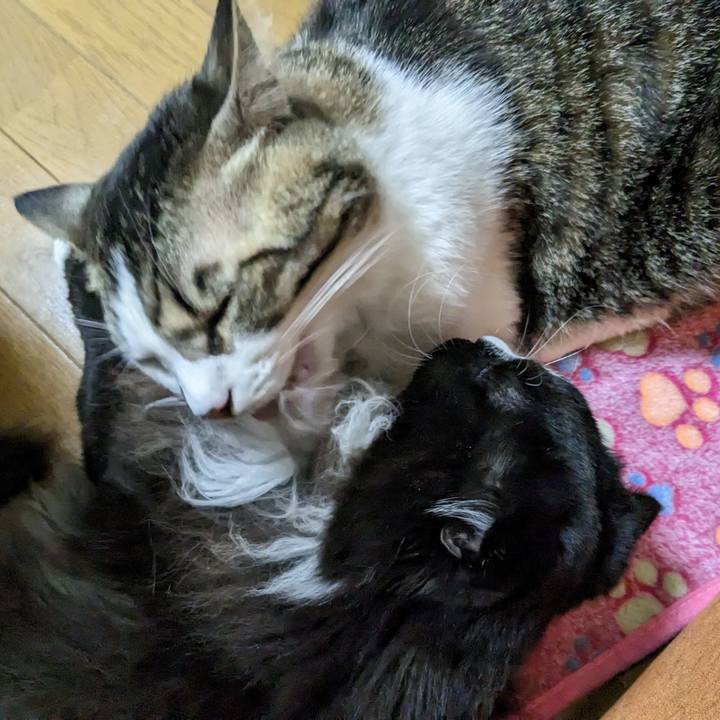 B1d7f12c 1e7c 461e a541 1222f2e7e3cf 1673731909261