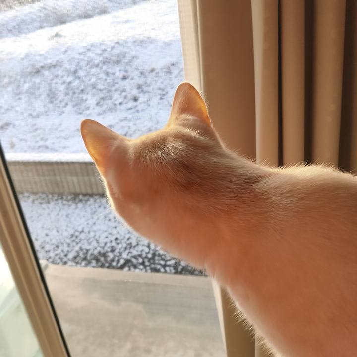 B1d820d4 5549 4f35 94fb de7aa4b95f17 1672625131284