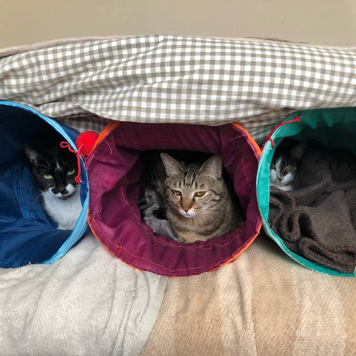 B1d8542b 2d25 4d3d bfc9 b2d3a2283af7 1611280709600