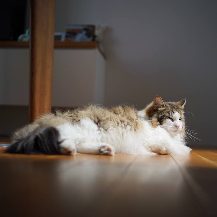 B1d885ff 8bd4 4874 a0db b63c720cef43 1656378010135