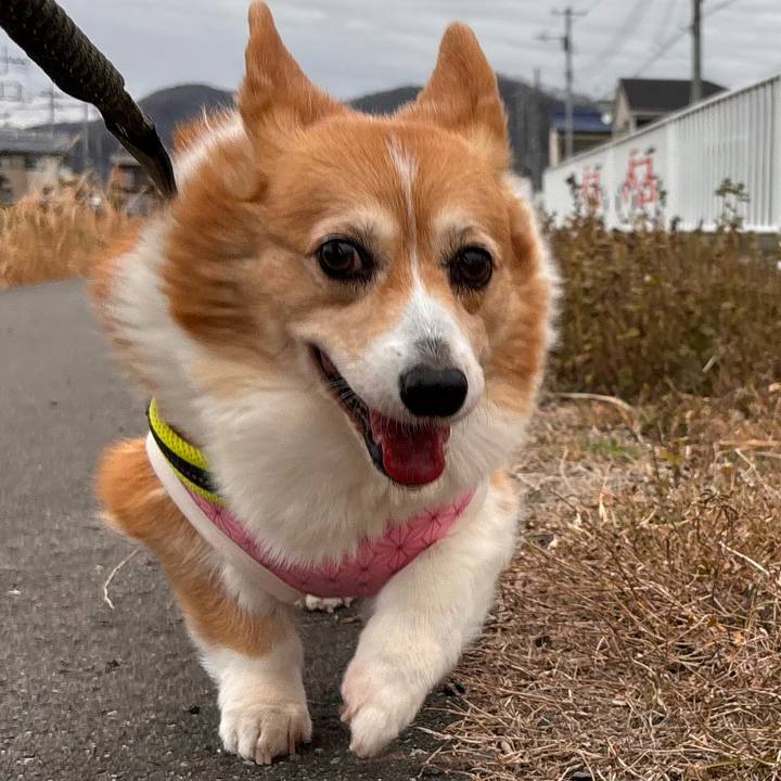 B1d890a0 bf00 478f baee 663bd0e2e4df 1767754200560