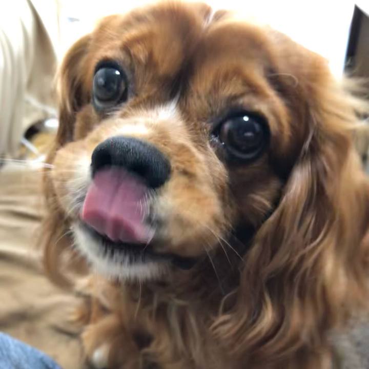 B1d89a7f f2be 4630 be27 b0ff47b3ccd3 1623880968490