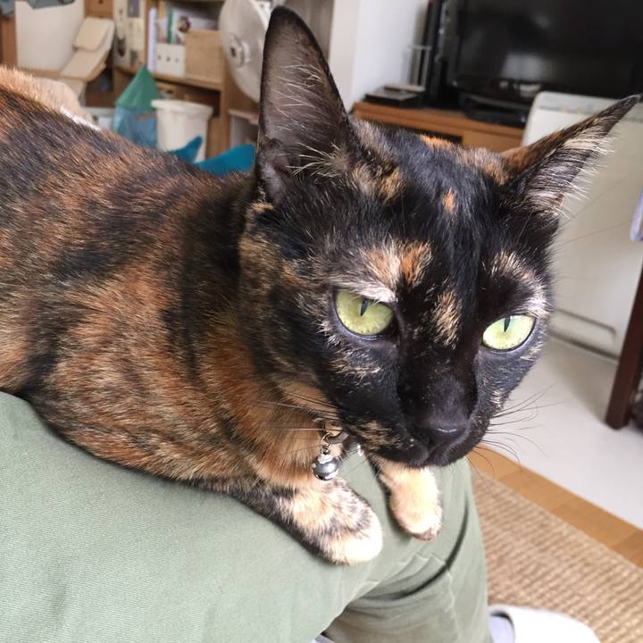 B1d89b58 81d0 4942 b931 70e42bf0a52d 1537689176399