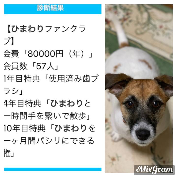 B1d8c19f b1e9 416a b8e4 5435318884c5 1568335756179