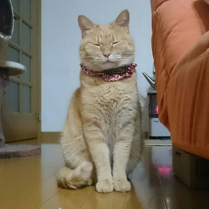 B1d8d755 bb3a 46b2 88da d581217a999a 1513175253648