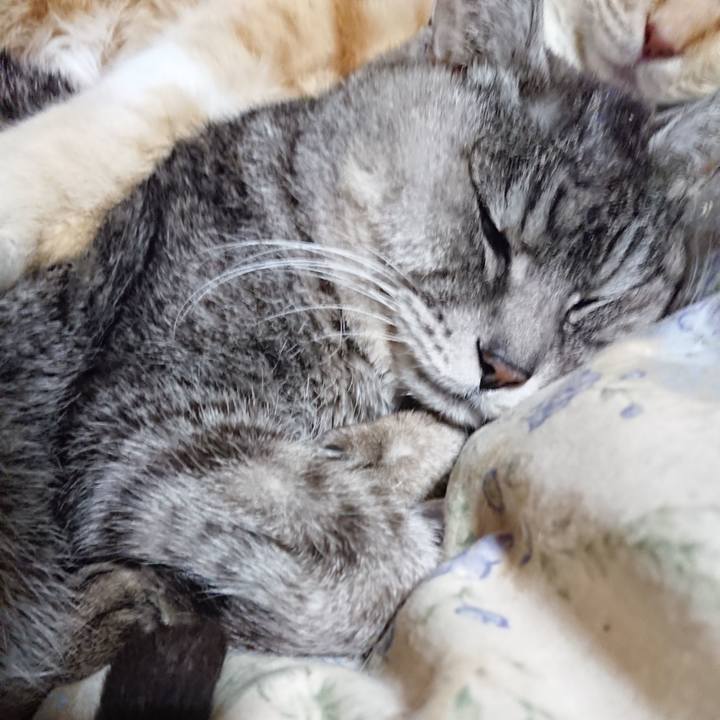 B1d8e977 c035 4349 adeb 1ca8e1cbd5ee 1581944392029