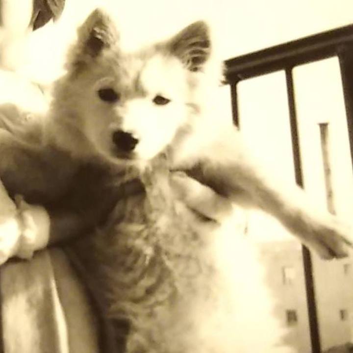 B1d9791d 9309 4845 b718 e6b0815dcfcd 1598111401424