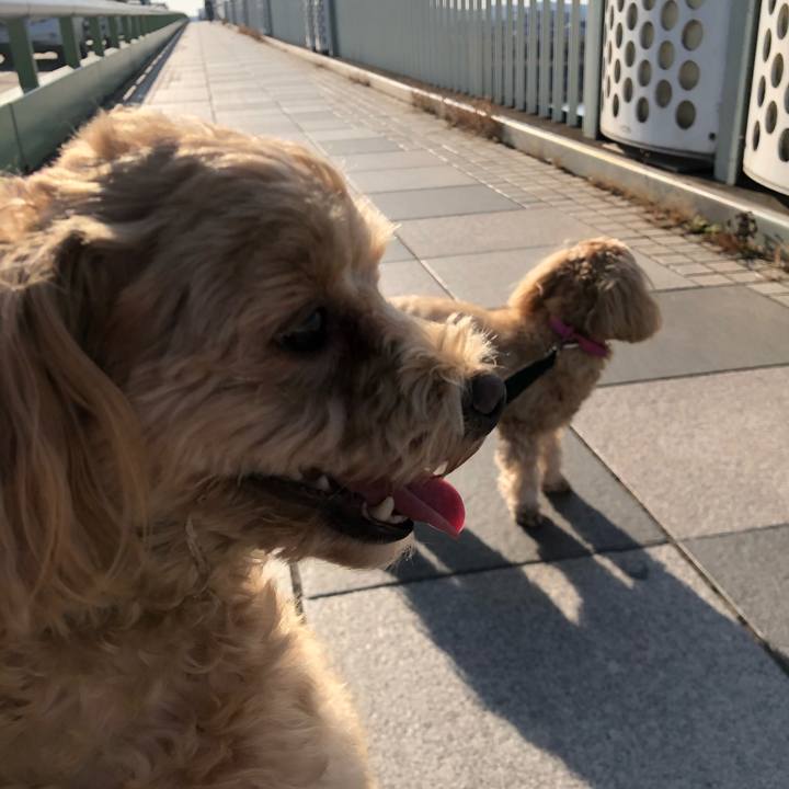 B1d99019 4ef6 44f7 a3dd 5c7e9135d9f9 1611215750654