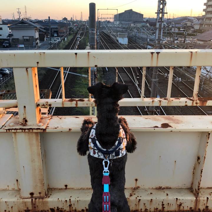 B1d9b8aa 081e 499c af2c ac0fedb37339 1541839630908