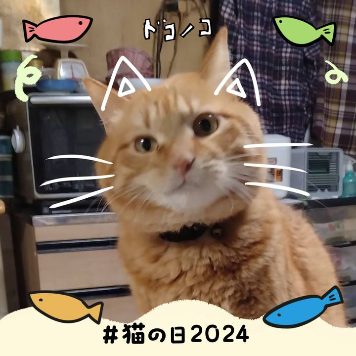 B1d9f756 1970 4dda b16d 70bfd12715ce 1708558806020