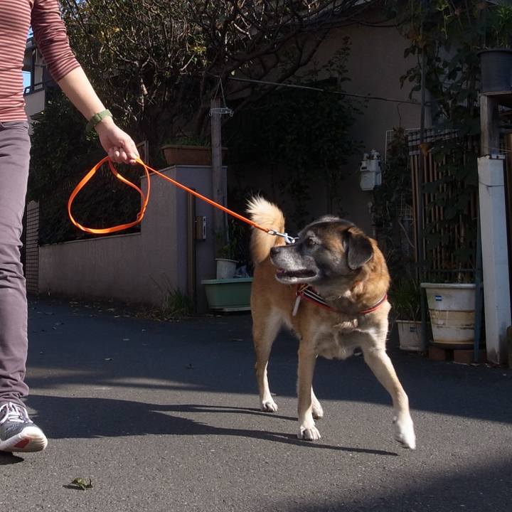 B1d9f918 ffa9 4bfa b98f c2a7b601c4bc 1695772835147