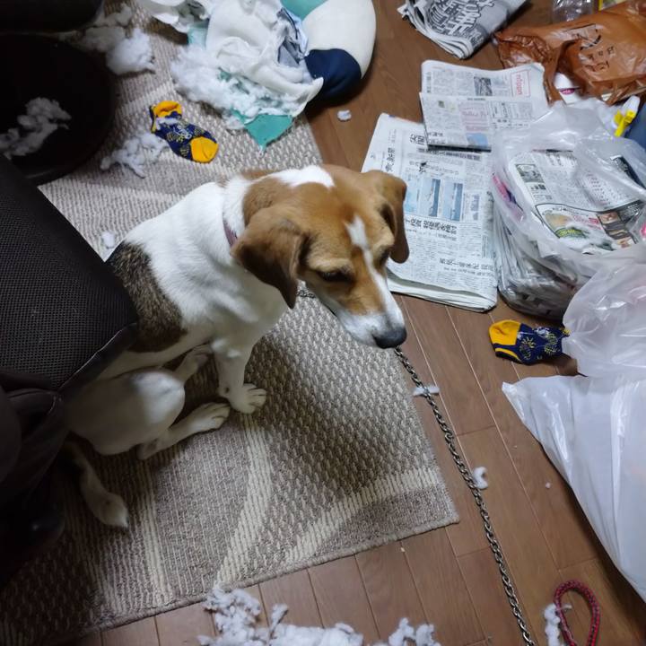 B1da1359 11b4 4d90 b848 3fe575b866f0 1602753279873