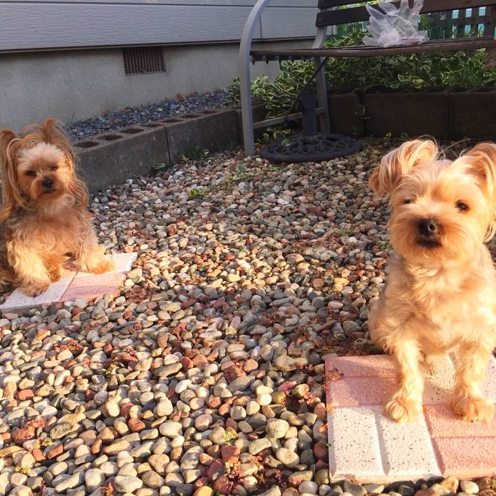 B1da2413 e432 4a0c a81d f8accf29d2dd 1536224827401