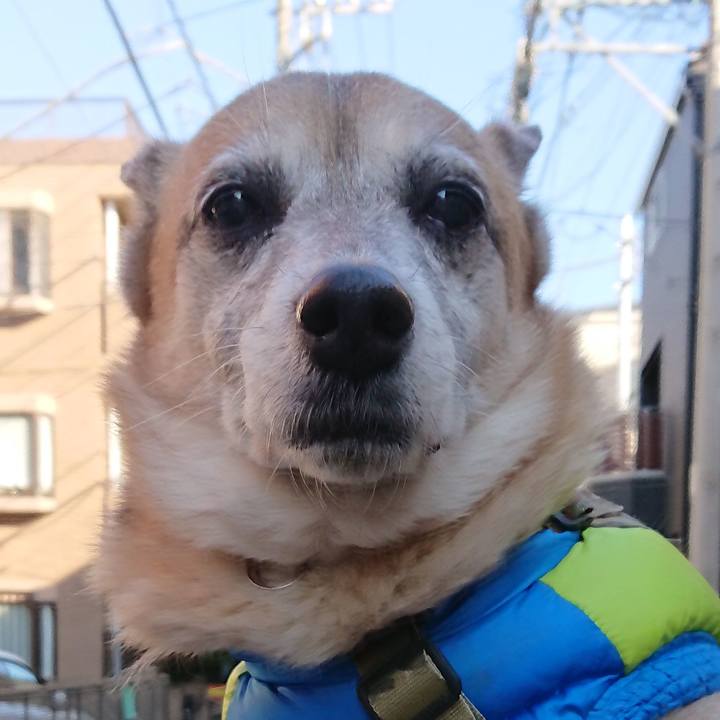 B1da3751 7610 4114 8279 7554395a843b 1581498707793