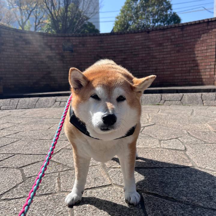 B1da7625 828b 402f 8b4f 8f1a273cb7c4 1711759800131