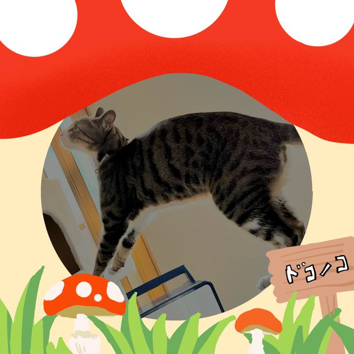 B1daaef5 0b39 4db7 81a8 23124784f9c8 1729304749403