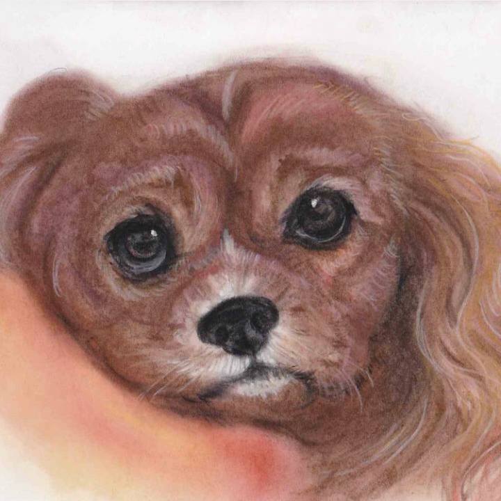 B1dac7cc b749 4008 8652 77e2f4ed2cbf 1614003928624