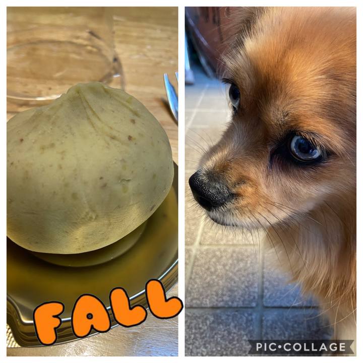 B1db45f7 1489 4589 8be6 e1251517416c 1572864016477