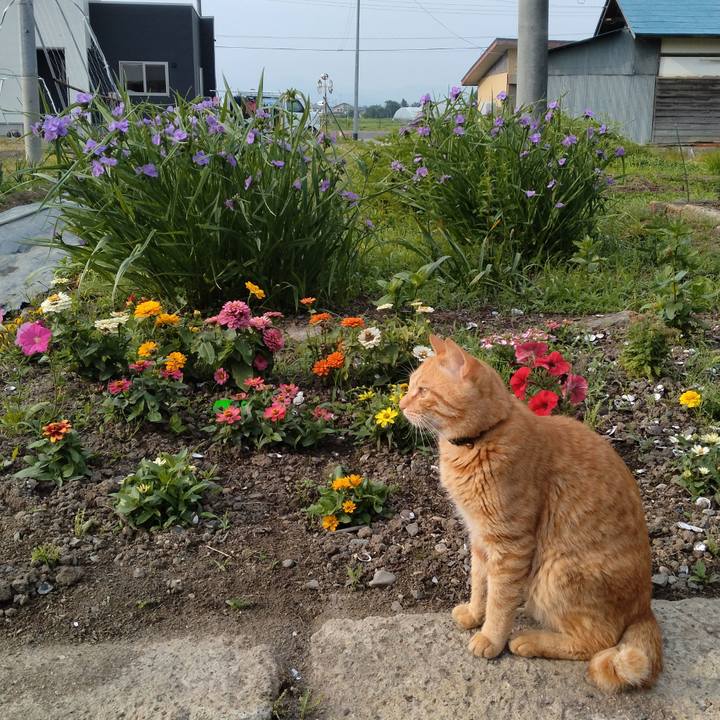 B1db4bfe 31f7 4764 bc32 1e60f1f9a2c7 1686176218503